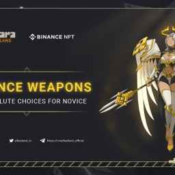 Binance Weapons – The must-have items for novice